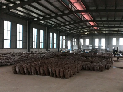 The Importance Of Technology in The Current Water Glass Casting Industry